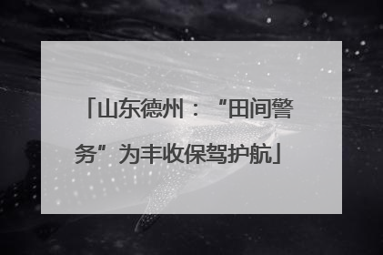 山东德州：“田间警务”为丰收保驾护航