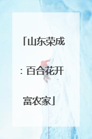 山东荣成：百合花开富农家
