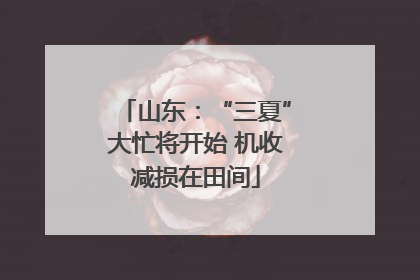 山东：“三夏”大忙将开始 机收减损在田间