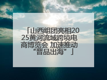 山西组团亮相2025黄河流域跨境电商博览会 加速推动“晋品出海”