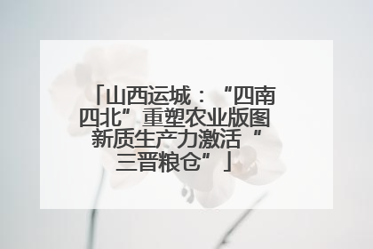 山西运城：“四南四北”重塑农业版图 新质生产力激活“三晋粮仓”