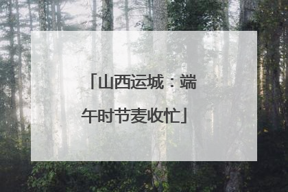 山西运城：端午时节麦收忙