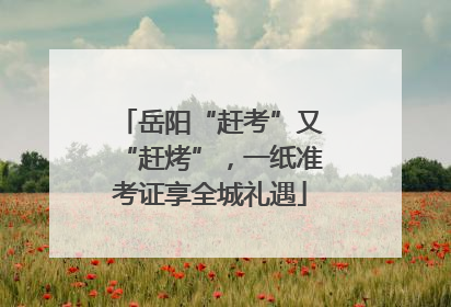 岳阳“赶考”又“赶烤”，一纸准考证享全城礼遇
