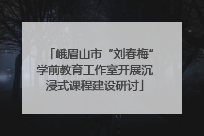 峨眉山市“刘春梅”学前教育工作室开展沉浸式课程建设研讨