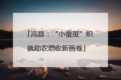 嵩县：“小蚕茧”织就助农增收新画卷