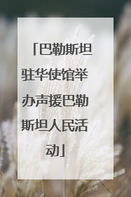 巴勒斯坦驻华使馆举办声援巴勒斯坦人民活动