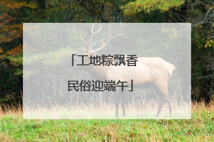 工地粽飘香 民俗迎端午