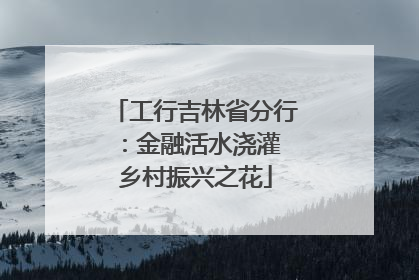工行吉林省分行：金融活水浇灌 乡村振兴之花