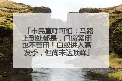 市民直呼可怕：马路上到处都是，门窗紧闭也不管用！白蚁进入高发季，但尚未达顶峰
