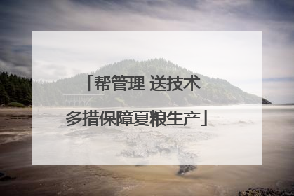 帮管理 送技术 多措保障夏粮生产