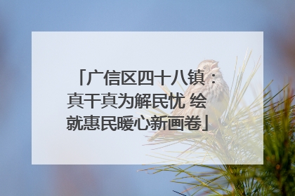 广信区四十八镇：真干真为解民忧 绘就惠民暖心新画卷