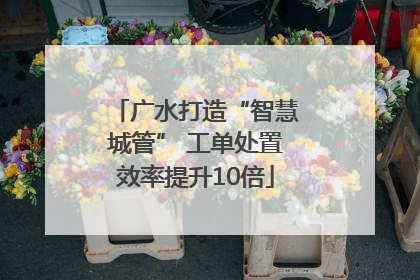 广水打造“智慧城管” 工单处置效率提升10倍