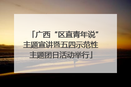 广西“区直青年说”主题宣讲暨五四示范性主题团日活动举行