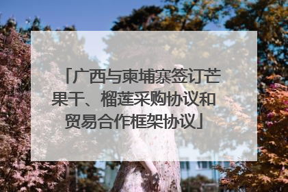 广西与柬埔寨签订芒果干、榴莲采购协议和贸易合作框架协议