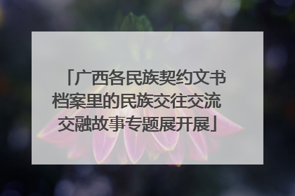 广西各民族契约文书档案里的民族交往交流交融故事专题展开展