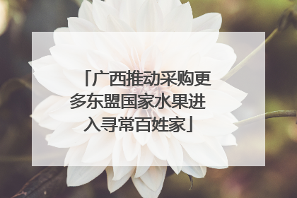 广西推动采购更多东盟国家水果进入寻常百姓家