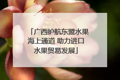 广西护航东盟水果海上通道 助力进口水果贸易发展