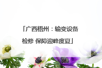 广西梧州：输变设备检修 保障迎峰度夏