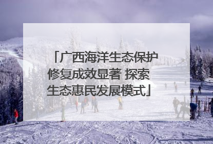广西海洋生态保护修复成效显著 探索生态惠民发展模式