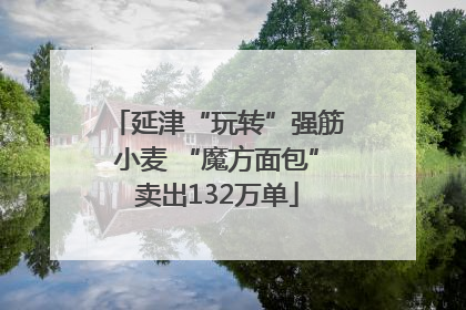 延津“玩转”强筋小麦 “魔方面包”卖出132万单