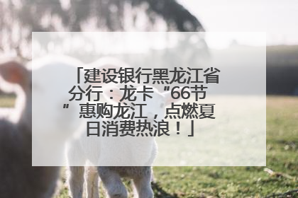 建设银行黑龙江省分行：龙卡“66节”惠购龙江，点燃夏日消费热浪！