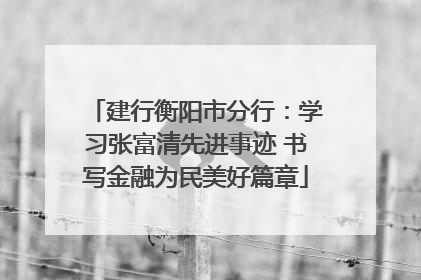 建行衡阳市分行：学习张富清先进事迹 书写金融为民美好篇章