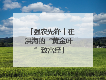 强农先锋丨崔洪海的“黄金叶”致富经