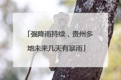 强降雨持续，贵州多地未来几天有暴雨