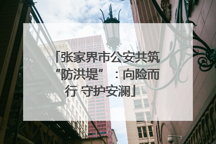 张家界市公安共筑“防洪堤”：向险而行 守护安澜