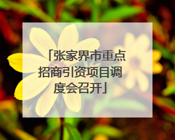 张家界市重点招商引资项目调度会召开