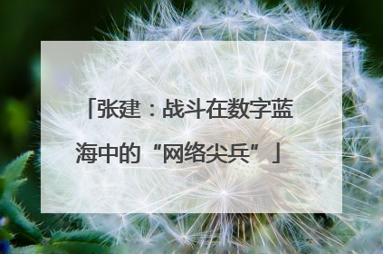 张建：战斗在数字蓝海中的“网络尖兵”