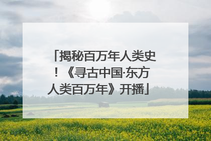 揭秘百万年人类史！《寻古中国·东方人类百万年》开播