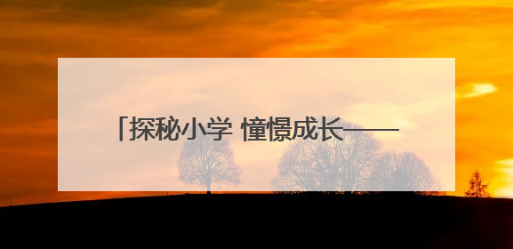 探秘小学 憧憬成长——襄阳市樊城区第二幼儿园衡庄分园幼小衔接班走进小学开展参观体验活动