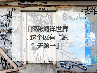 探秘海洋世界，这个展有“鲸”无险→