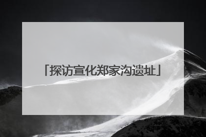探访宣化郑家沟遗址