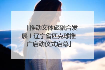 推动文体旅融合发展！辽宁省匹克球推广启动仪式启幕