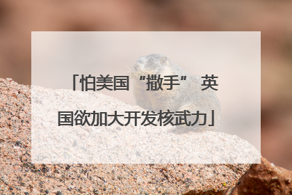 怕美国“撒手” 英国欲加大开发核武力