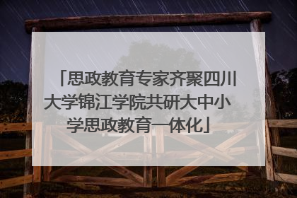 思政教育专家齐聚四川大学锦江学院共研大中小学思政教育一体化
