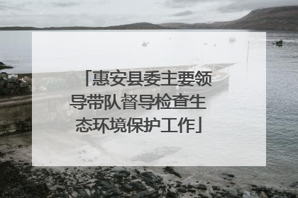 惠安县委主要领导带队督导检查生态环境保护工作