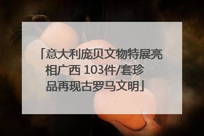 意大利庞贝文物特展亮相广西 103件/套珍品再现古罗马文明