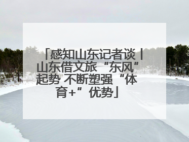 感知山东记者谈丨山东借文旅“东风”起势 不断塑强“体育+”优势