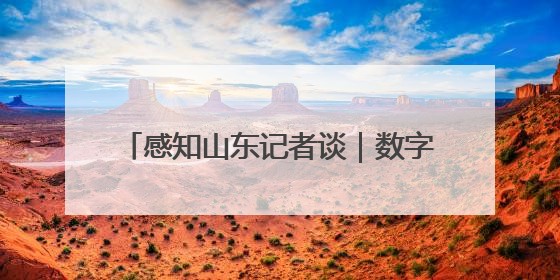 感知山东记者谈｜数字赋能工业转型 枣庄打造高质量发展新引擎