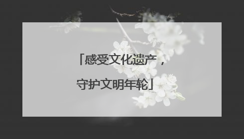 感受文化遗产，守护文明年轮