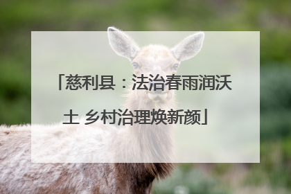 慈利县：法治春雨润沃土 乡村治理焕新颜
