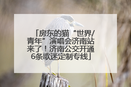 房东的猫“世界/青年”演唱会济南站来了！济南公交开通6条歌迷定制专线