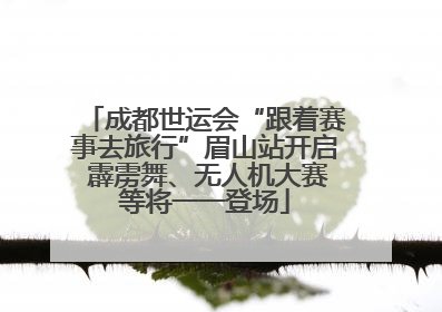 成都世运会“跟着赛事去旅行”眉山站开启 霹雳舞、无人机大赛等将一一登场
