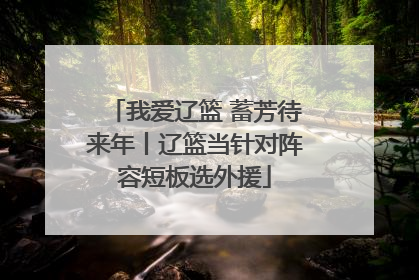 我爱辽篮 蓄芳待来年丨辽篮当针对阵容短板选外援