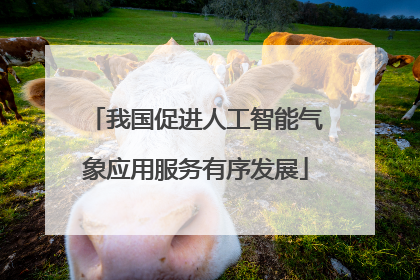 我国促进人工智能气象应用服务有序发展