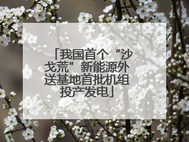我国首个“沙戈荒”新能源外送基地首批机组投产发电