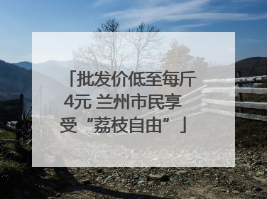 批发价低至每斤4元 兰州市民享受“荔枝自由”